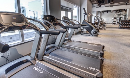 a row of treadmills in a gym